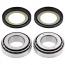 Fork Neck Bearing & Seal Kit