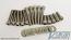 Primary Bolt Kit- Stainless Steel- Dyna / Softail 1999-2006
