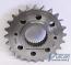 FXR-Twin Cam Swap 6 Speed Chain Sprocket